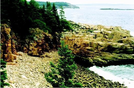 Beach materials can be made of sand, pebbles, cobbles, or boulders. The rocky cobble beaches of Acadia National Park, Maine are the result of the progressive erosion and weathering of coastal bedrock under strong wave action.