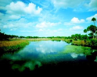 Florida's Crystal River Estuary is a popular tourist destination with ecological, historical, and archaeological significance. The Crystal River State Buffer Preserve provides a protective buffer against development for the nearly pristine St. Martins Marsh Aquatic Preserve. St. Martins Marsh is one of the best examples of a spring-fed estuary remaining in the ever-developing state.