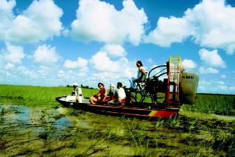 The Florida Everglades encompasses vast tracts of marshland. Water conditions can make airboats an ideal mode of transportation to observe and research the vegetation and animals associated with this complex wetland system.