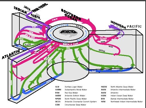 Figure 2. This schematic shows generalized interbasin flow for the indicated oceans, and their horizontal connections in the Southern Ocean and the Indonesian Passages. The surface layer circulations are in purple, intermediate and SAMW are in red, deep in green, and near-bottom in blue.