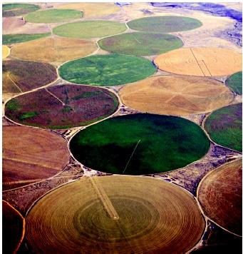 Center-pivot sprinklers are among the irrigation methods used in the High Plains. Large quantities of groundwater pumped from the Ogallala Aquifer allows these semiarid western lands to yield abundant harvests.