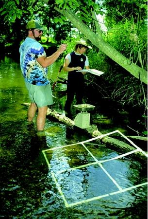 Scientists use chemical and biological parameters to evaluate the water quality in a stream and its ability to support a thriving aquatic community. These researchers are assessing fresh-water mussel populations by measuring mussel diversity and abundance within a sample grid area. They extrapolate the results to estimate the population across the entire stream segment being studied.
